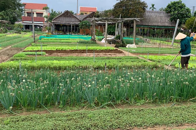 Full Experience Tour: Cooking Class & Basket Boat at Eco-Village - Eating the meal at Tra Que Water Wheel: reward with context