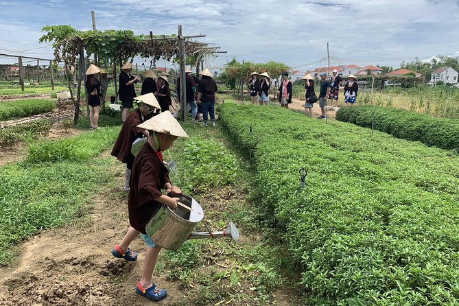 Full Experience Tour: Cooking Class & Basket Boat at Eco-Village - Price and logistics: what $52 covers in a real-world way