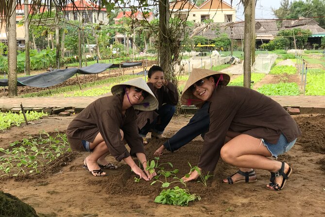 Gardening at Tra Que Vegetable Village and cooking class - Farmer training in the vegetable gardens: hoe, plant, water, harvest