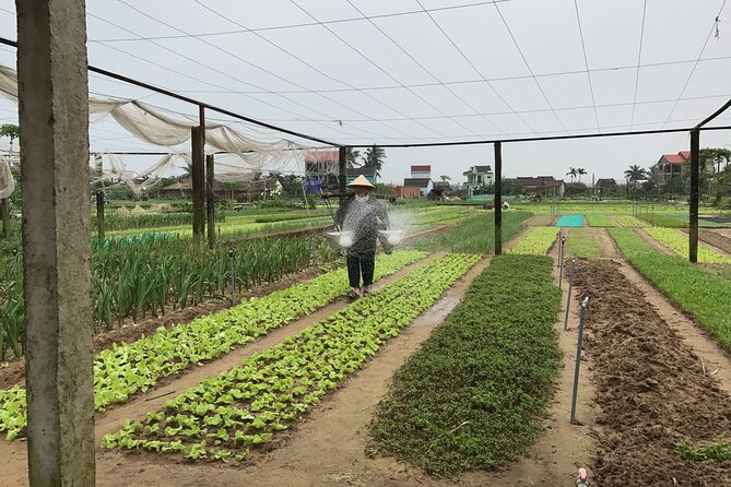 Gardening at Tra Que Vegetable Village and cooking class - Herbal foot wash and foot massage: comfort after the mud