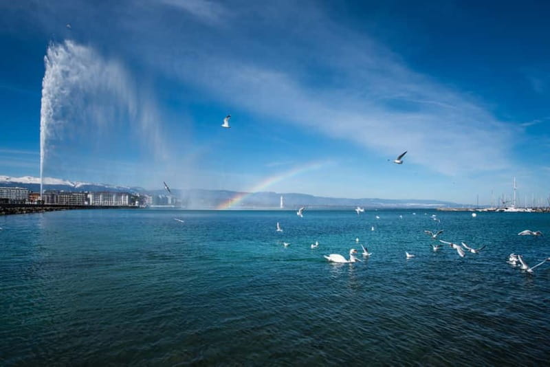 Geneva: City Tour and Fondue Cooking Class, Swiss Folklore - Mini-train vs. walking: what changes when the weather shifts