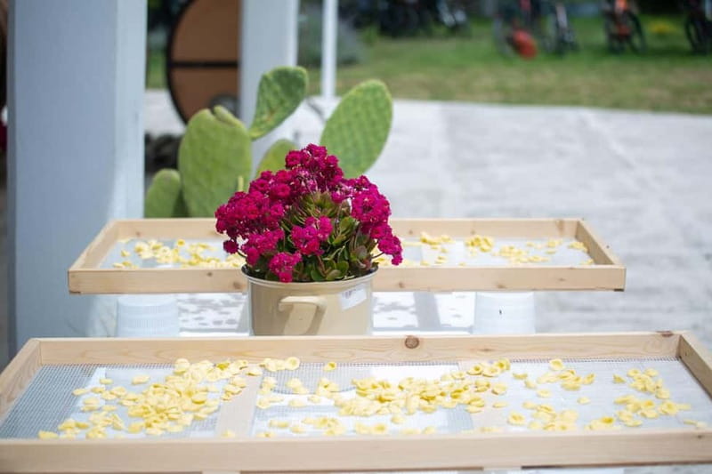 Gioia del Colle: Apulian Cooking Class in a Masseria - Small Group Size and Private Options: How That Changes the Experience