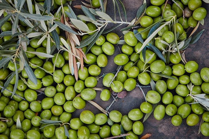 Gourmet Cooking Class & Culture in the rural Montes de Malaga. - Timing, duration, and what a 3.5-hour day feels like