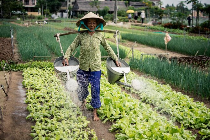 Half Day Cooking Class At Tra Que Vegetable Village Hoi An - Cycling Hoi An’s Rural Roads With a Real Village Plan