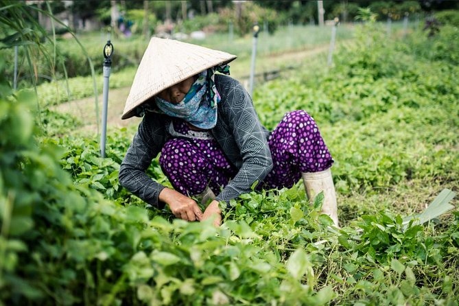 Half Day Cooking Class At Tra Que Vegetable Village Hoi An - Best Fit: Who Will Enjoy This Most in Hoi An