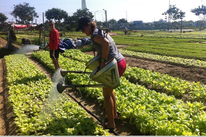 Half Day Cooking Class At Tra Que Vegetable Village Hoi An - The Little Details That Make It Easier (Bring the Right Mindset)