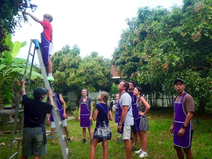 Half-Day Thai Cooking Class on a Local Farm Near Chiang Mai - Organic farm countryside: herbs, trees, and a calmer pace