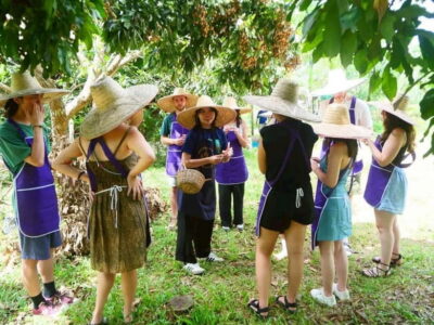 Half-Day Thai Cooking Class on a Local Farm Near Chiang Mai - Local market stop: learn to choose ingredients the Thai way