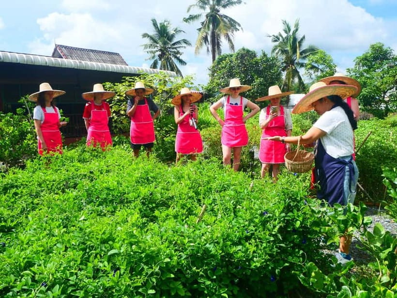 Half-Day Thai Cooking Class on a Local Farm Near Chiang Mai - Pool chill-out time: a real break after cooking