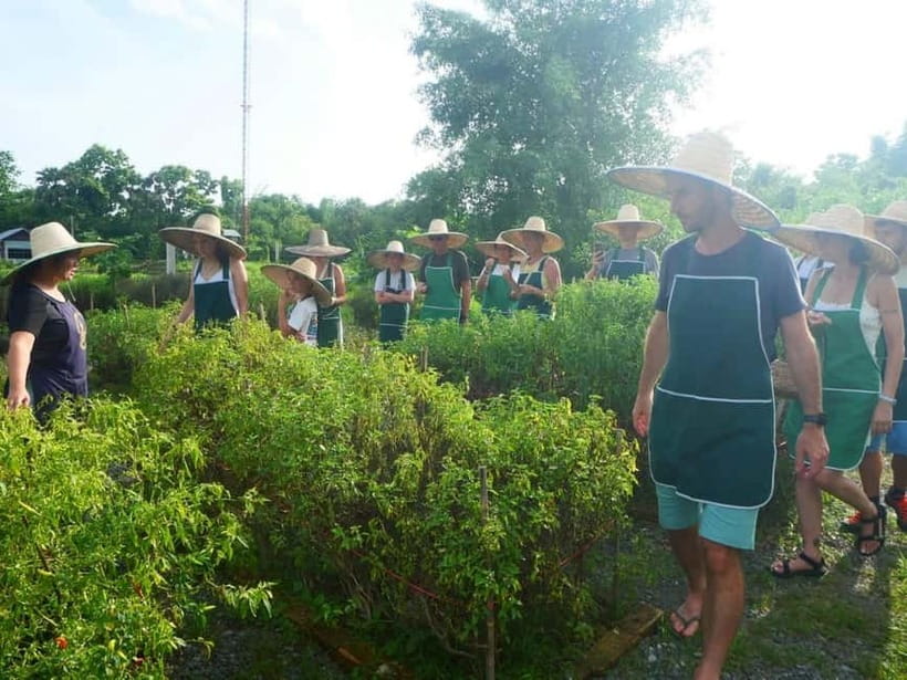 Half-Day Thai Cooking Class on a Local Farm Near Chiang Mai - E-book recipes and a photo album you can actually use