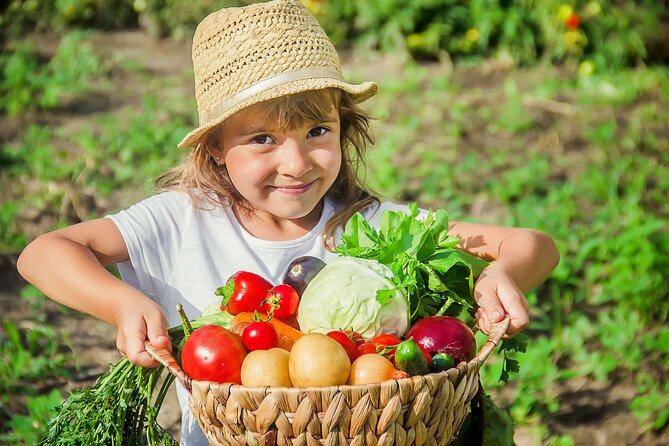 Hands-On Cooking Class & Farmhouse Tour on the Amalfi Coast - Key things you’ll notice right away