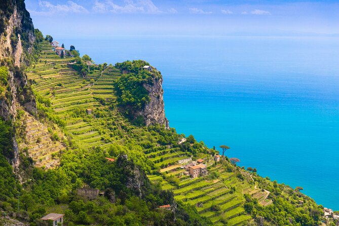 Hands-On Cooking Class & Farmhouse Tour on the Amalfi Coast - The terraced garden tour: lemons, olives, and grapes with real practical context