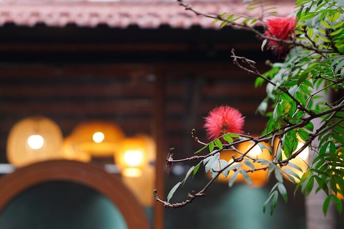Hanoi Cooking Class: Culture, Local Market & Meaning CSR Impact - Timing, Weather, and Pacing: What to Expect in Real Life