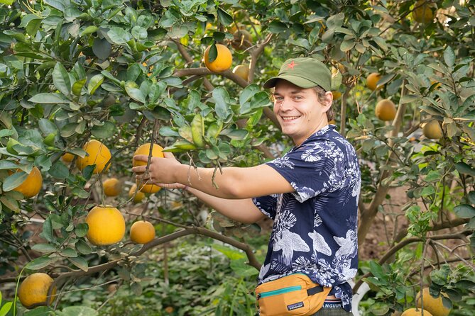 Hanoi Cooking Class in a Haven of Tranquility - Thom culinary - Why Thơm Culinary feels calming even when Hanoi isn’t