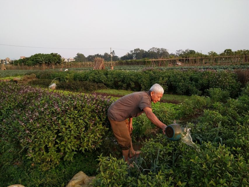 Hanoi Farm Tour and Cooking Class with Local Family - How the 4 Hours Feel on the Ground