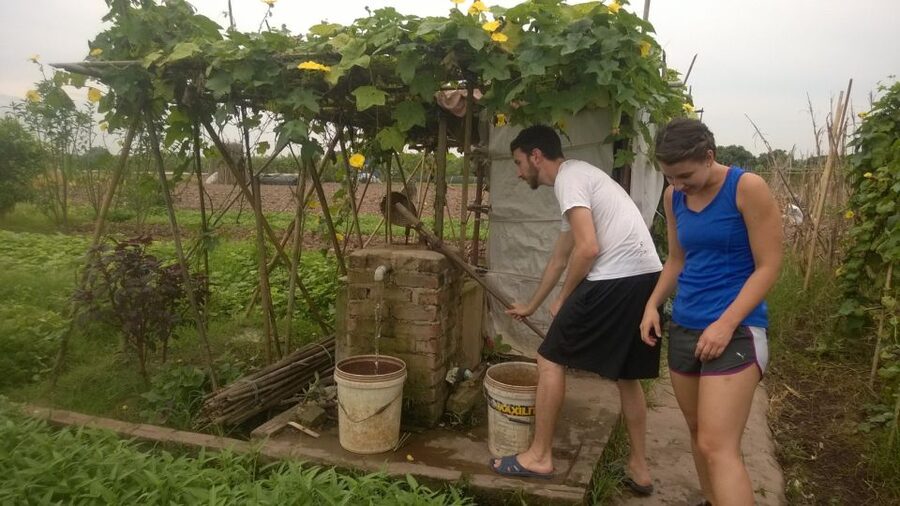 Hanoi Farm Tour and Cooking Class with Local Family - Price and Value: Why $43 Can Make Sense Here