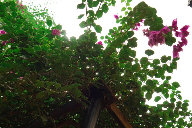 Hanoi Market & Villa Cooking Class: Free Old Quarter Transfer - Lunch or dinner plus drinks: what’s actually included