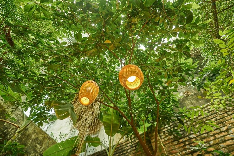 Hanoi’s Culinary: Authentic Cooking Class and Local Market - Custom menu: choosing 2 dishes and cooking 3 total
