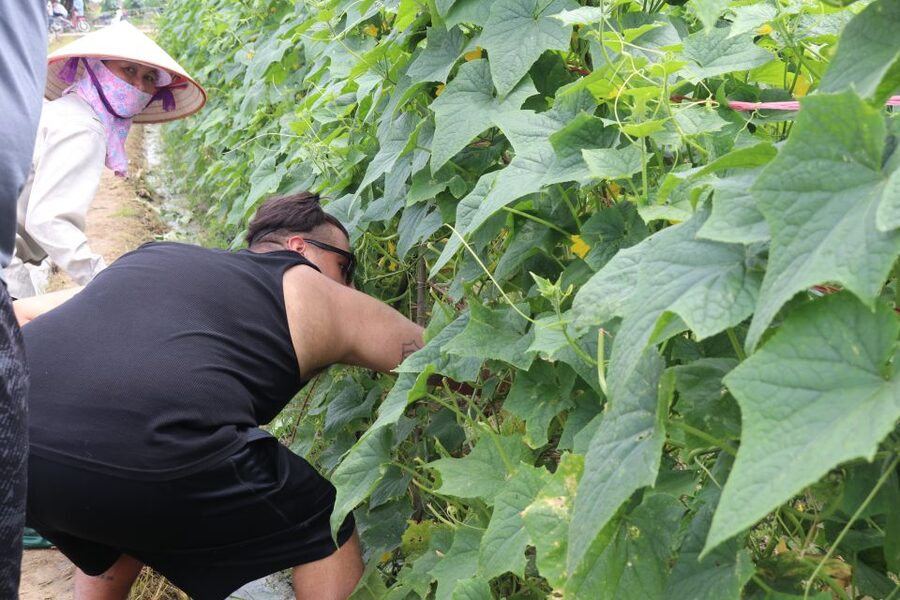 Hanoi: Village Farm Tour and Cooking Class with Lunch - Should you book the Hanoi village farm tour and cooking class?