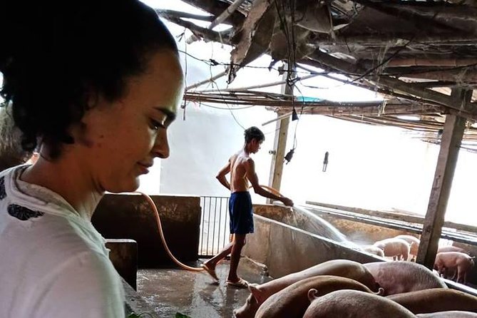 Ho Chi Minh City Full-Day Farm trip with Healthy Cooking Class - The Rice Paper Stop That Makes Vietnamese Food Click