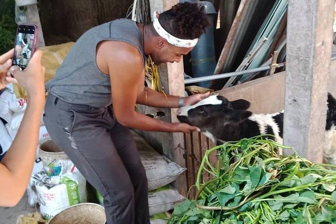 Ho Chi Minh City Full-Day Farm trip with Healthy Cooking Class - Who This Trip Suits Best