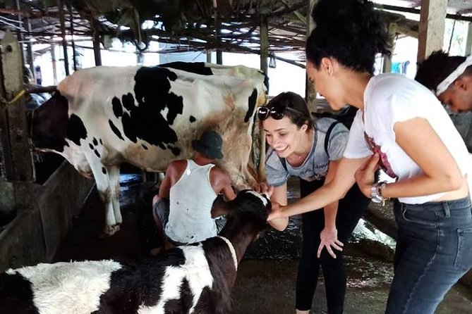 Ho Chi Minh City Full-Day Farm trip with Healthy Cooking Class - Meet the Animals and See How Organic Care Actually Works
