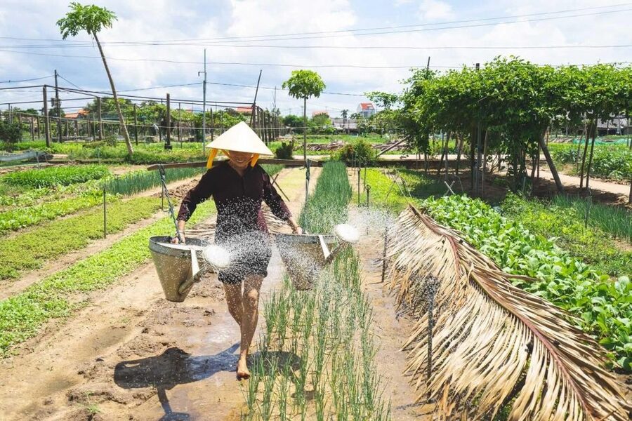 Hoi An: Authentic Cooking class in organic Herb Village - From hotel pickup to a market you can actually taste