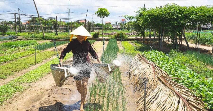 Hoi An: Authentic Cooking class in organic Herb Village - What “organic herb village” means for your cooking class