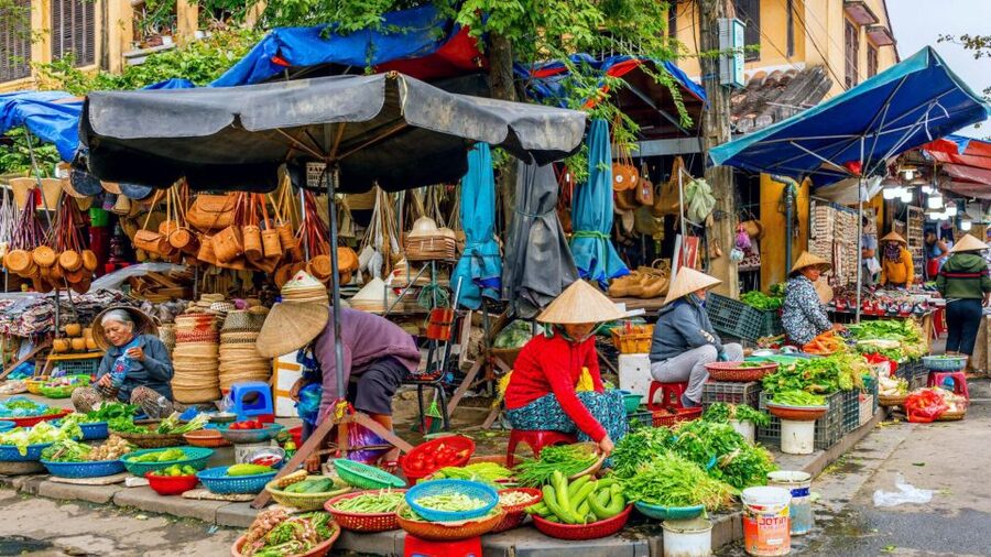 Hoi An: Authentic Cooking class in organic Herb Village - Cycling through rice fields to Tra Que’s calm herb village