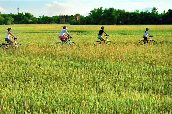Hoi An Bicycle And Cooking Class Tour - Pedal to Tra Que Vegetable Village and Learn Farming the Local Way