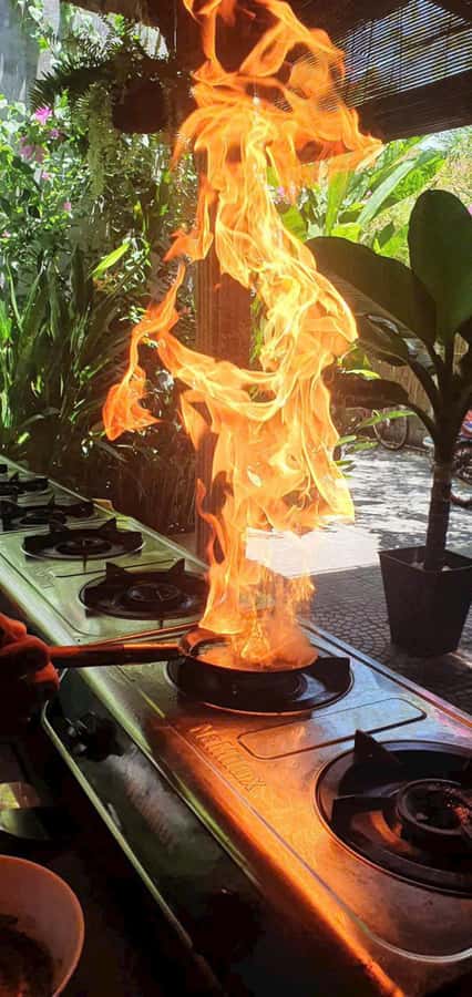 Hoi An: Cooking Class in Coconut Jungle with Market Tour - Coconut jungle waterways: the bamboo basket boat ride