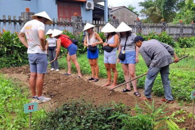 Hoi An Cooking Class & Vespa Cooking Adventure Tour - Market, fish farm, and Tra Que vegetable village stops