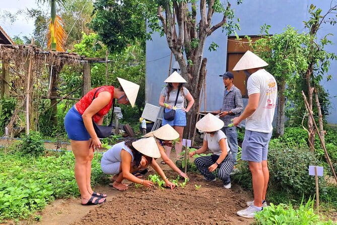Hoi An Cooking Class & Vespa Cooking Adventure Tour - Lunch: eating what you made, plus more Vietnamese favorites