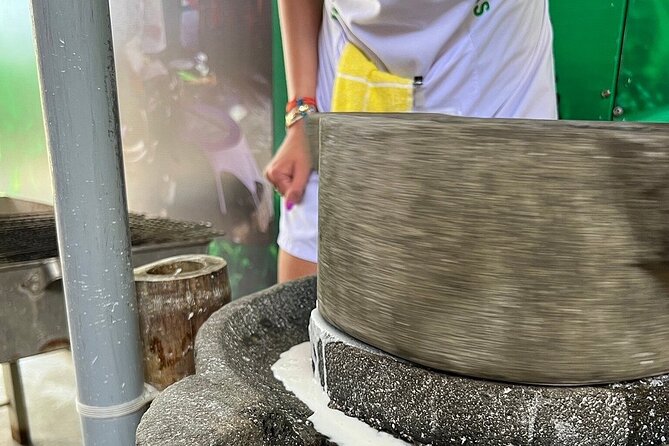 Hoi An cooking class with Basket Boat Tour - Who This Tour Fits Best (and Who Might Want Something Else)
