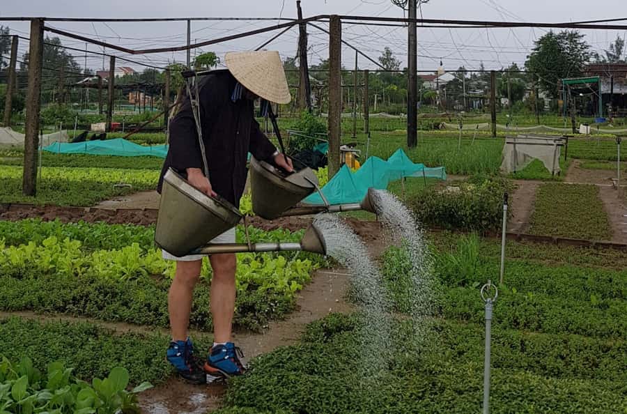Hoi An Cooking Class With Market and Bamboo Basket Boat Tour - Bay Mau Coconut Village: Round Bamboo Basket Boat Time