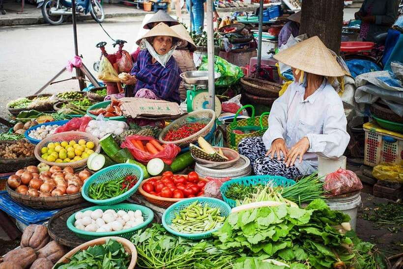 Hoi An: Eco Cooking Class with Market Trip and Basket Boat - Pickup in Hoi An and the market stop that sets the meal up