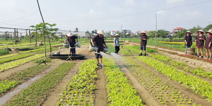 Hoi An: Evening Cooking Class with Locals in Herbs Village - Enjoying your meal: you eat what you cooked
