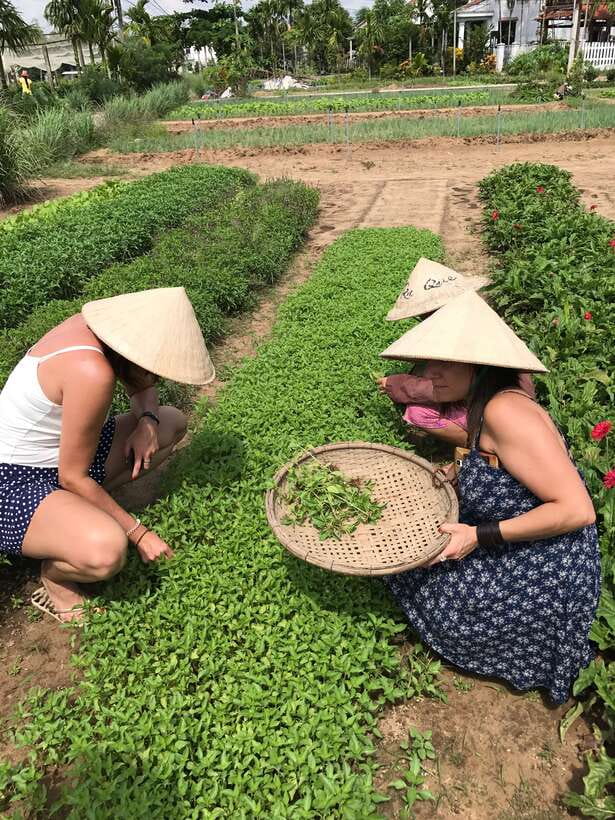 Hoian/Da Nang: Fishing, basket riding and cooking class - A half-day in Hoi An: market, river, and lunch you cook