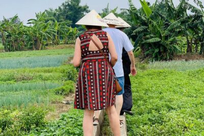 Hue Organic Farm Visit and Traditional Cooking Class - Madam Thu Farm at La Chu Village: Organic Farming Up Close