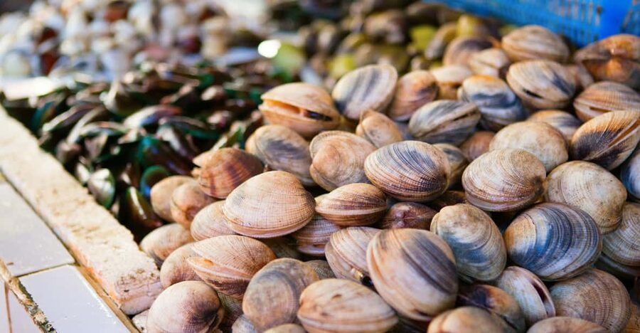 Ischia: Market Tour & Cooking Class at a Local's Home - Key highlights to look for