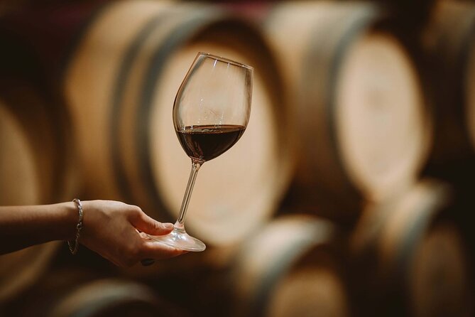 Italian Cooking Class and Wine Tasting in Tuscany - Group size, language, and comfort tips that matter