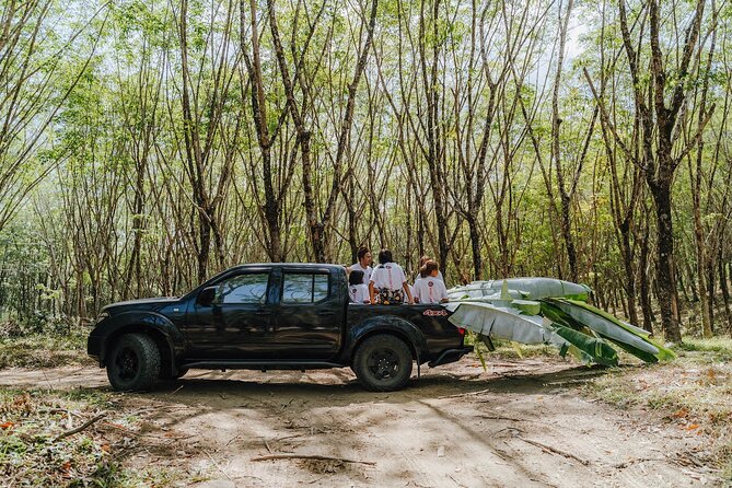Khaolak Elephant Sanctuary, Cooking Class and Waterfall Tour - About elephant care boundaries: photos, feeding, and bathing rules
