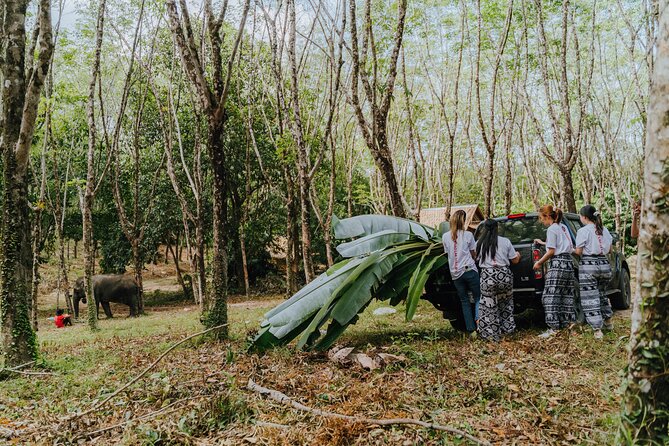 Khaolak Elephant Sanctuary, Cooking Class and Waterfall Tour - Price and value: is $126.35 worth it?