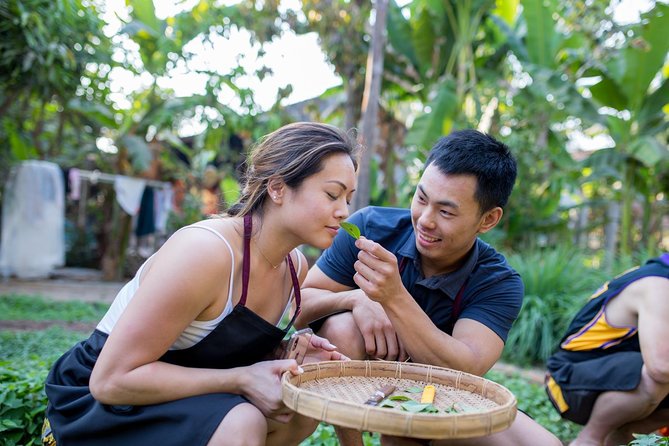 Khmer Cooking Class at a Local's Home in Krong Siem Reap - The Market Walk: How You Learn Khmer Ingredients Fast