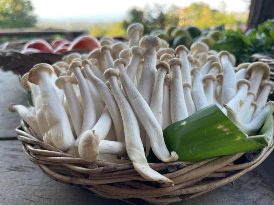 Koh Samui: Evening Thai Cooking Class with Organic Garden - The organic garden tour: ingredient picking that actually affects your meal