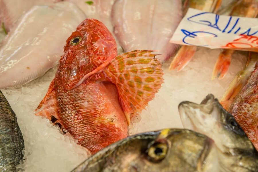 La Spezia: Market Visit and Seafood Cooking Class with Lunch - Lunch With Wine: What’s Included and What That Adds