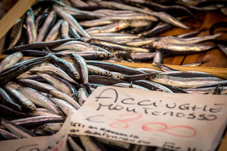 La Spezia: Market Visit and Seafood Cooking Class with Lunch - Who This Class Fits Best (and Who Might Want to Skip It)