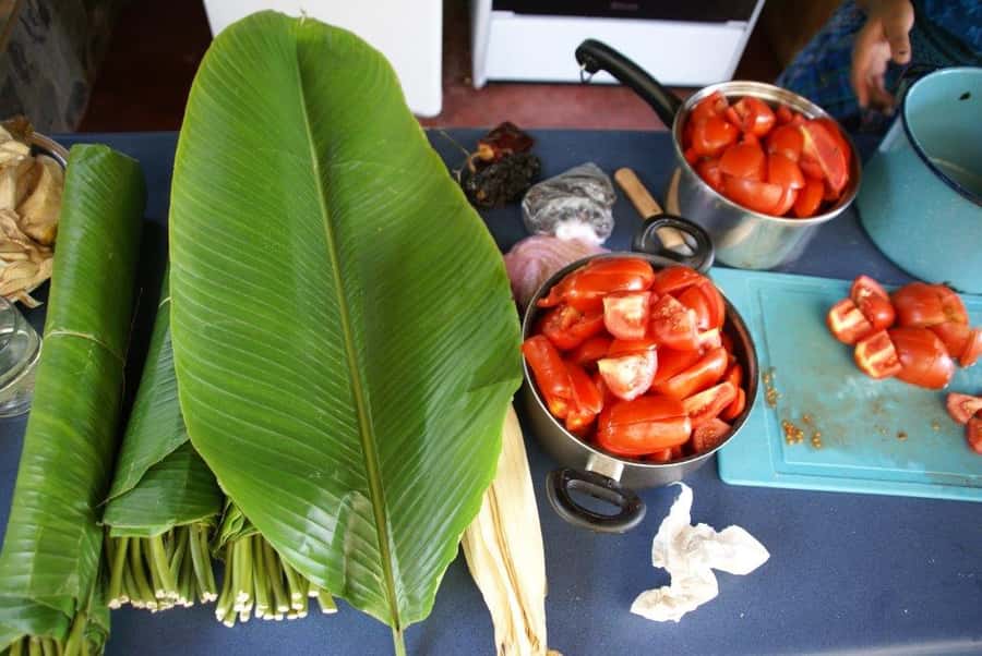 Lake Atitlan Maya Kitchen: 3-Hour Cooking Class - The food story you’re really learning: Mayan roots plus Spanish techniques