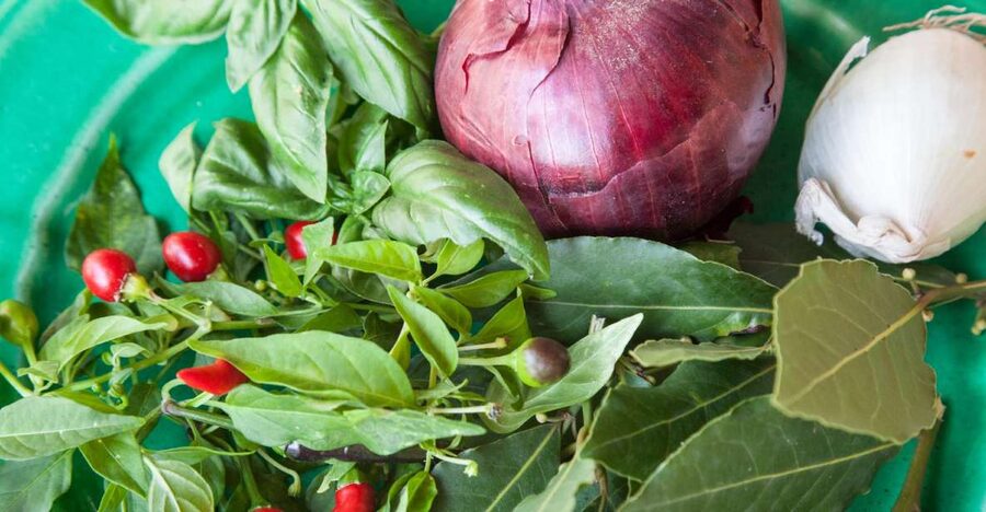 Lecce: Market and Private Cooking Class at a Local's Home - Shopping for real Apulian ingredients in Lecce’s market