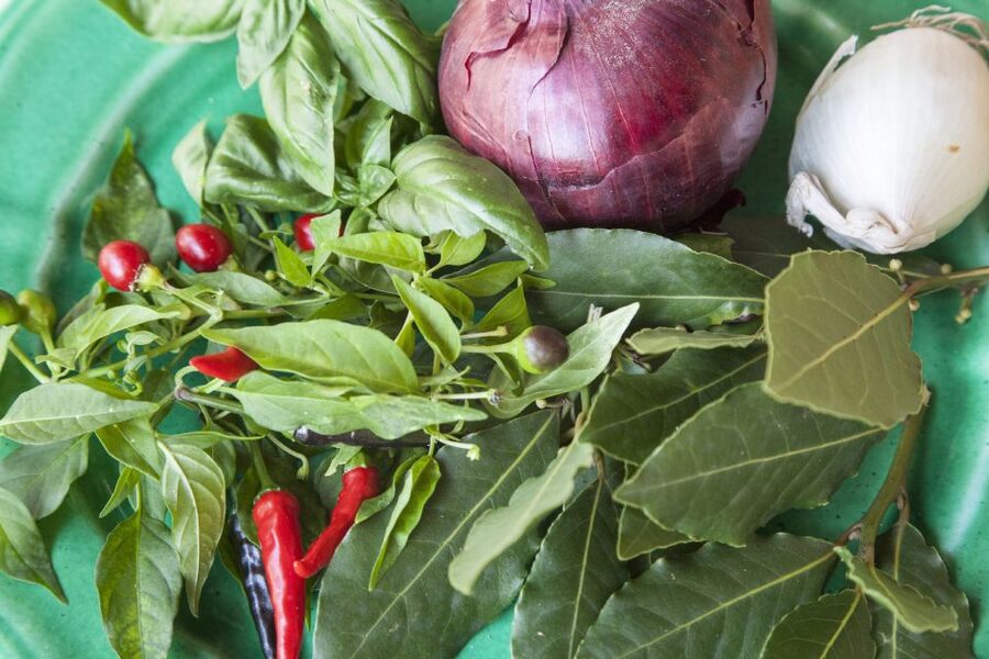 Lecce: Private Cooking Class at a Local's Home - Price and value: is $164.26 per person fair?